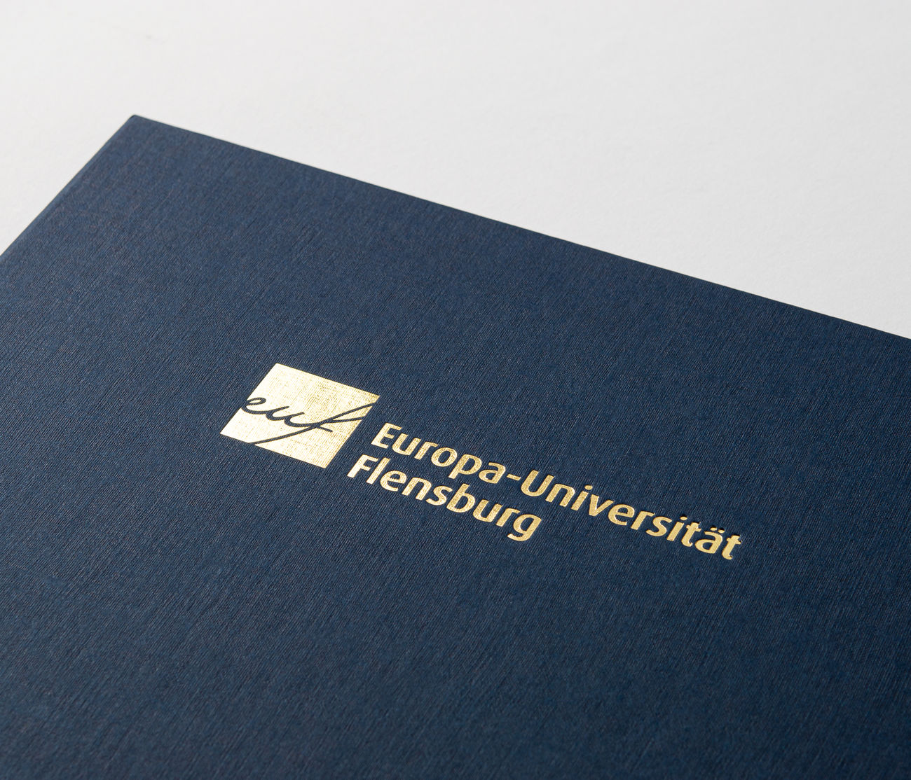Detailaufnahme einer Urkundenmappe mit goldener Prägung