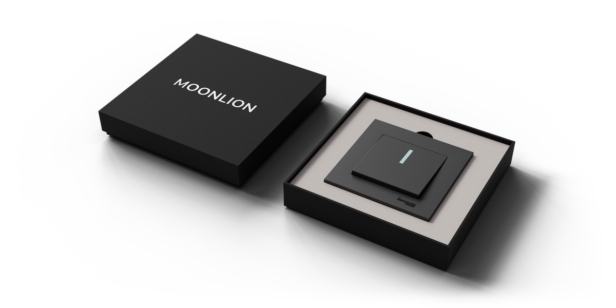 Schwarze Stülpdeckelschachtel mit weißen Kartoninlay für einen Lichtschalter